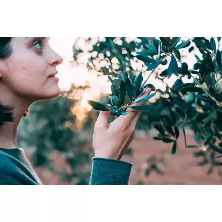 Tradineur - Malla de recogida de aceitunas, polietileno con alta densidad, red de recolección de frutos, resistente y duradera,
