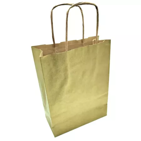 Pack 50 Bolsas Kraft Oro XS 18x24 cm para Regalos Navidad Pack 50 Bolsas Kraft Oro XS 18x24 cm para Regalos Navidad