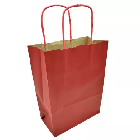 Pack 50 Bolsas Kraft Rojas XS 18x24 cm para Regalos Navidad Pack 50 Bolsas Kraft Rojas XS 18x24 cm para Regalos Navidad