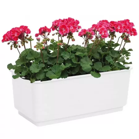 Jardinera rectangular blanca 10x24,7x13 cm, resistente y versátil Jardinera rectangular blanca 10x24,7x13 cm, resistente y versátil