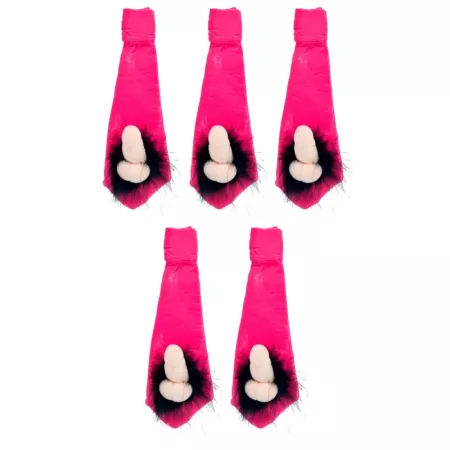 Tradineur - Pack de 5 corbatas de despedida de soltera - Incluye goma para colgar - Ideal para fiestas de despedida, carnaval y