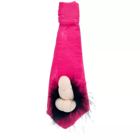 Tradineur - Pack de 5 corbatas de despedida de soltera - Incluye goma para colgar - Ideal para fiestas de despedida, carnaval y