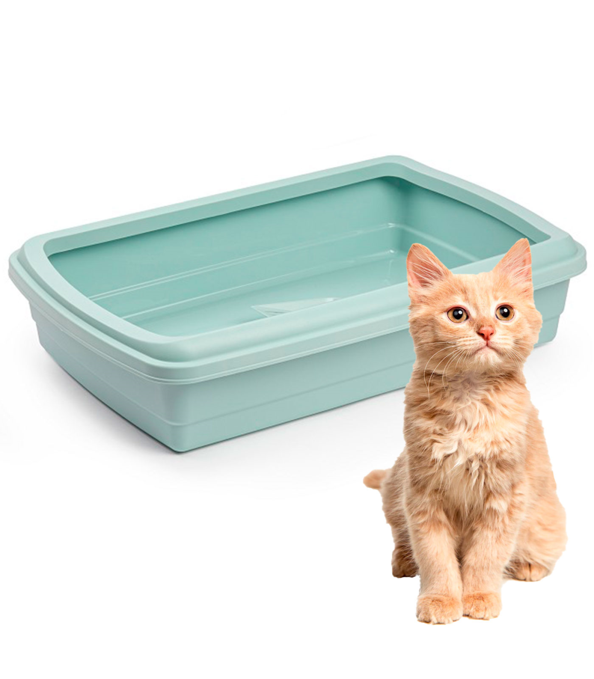 Tradineur - Arenero para gatos con pala, bandeja higiénica con borde alto  extraíble, gatera, caja de arena higiénica, 47 x 31 x