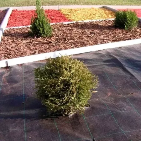 Tradineur - Malla antihierbas, tela protectora contra malas hierbas en rollo, polipropileno, permeable, resistente al desgaste y