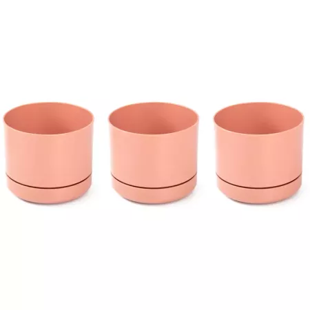 Pack 3 Macetas Plásticas Colores Surtidos Ø10,5 cm Interior Pack 3 Macetas Plásticas Colores Surtidos Ø10,5 cm Interior