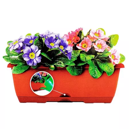 Jardinera Rectangular Marrón 8L con Drenaje y Bandeja integrada Jardinera Rectangular Marrón 8L con Drenaje y Bandeja integrada