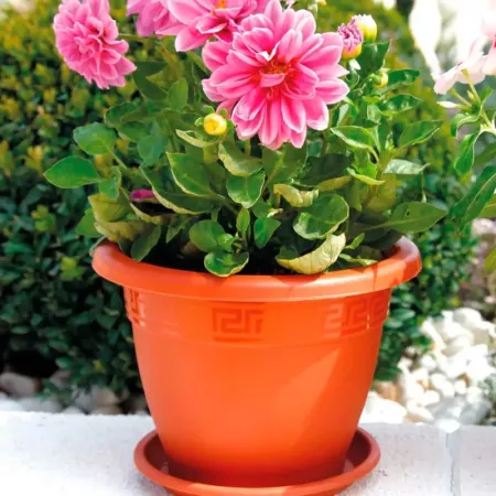 Tradineur - Maceta Redonda "Terracota" - Fabricado en Plástico - Macetero apto para Exterior e Interior del hogar - 60 cm - Colo