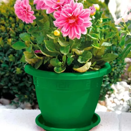 Maceta Terracota Plástico 20 cm Verde para Interior y Exterior Maceta Terracota Plástico 20 cm Verde para Interior y Exterior
