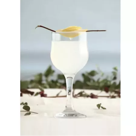 Tradineur - Set de 6 copas de cristal, modelo Nevakar, servir vino, champán, cócteles, elegantes, aptas para lavavajillas, celeb