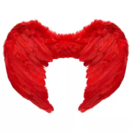 Tradineur - Alas de ángel con plumas y tirantes elásticos, complemento para disfraz de Halloween, carnaval, cosplay, fiestas, na