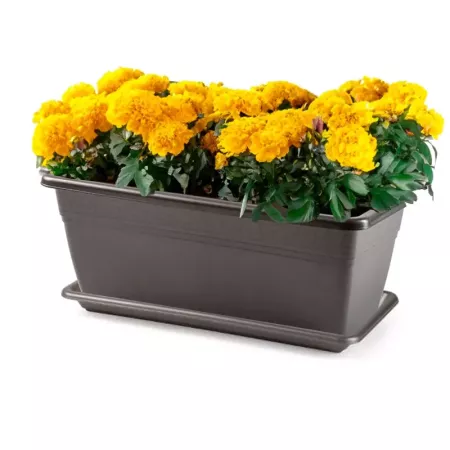 Tradineur - Jardinera con plato terracota - PLFT - Fabricado en Plástico - Macetero apto para Exterior e Interior del hogar - 40