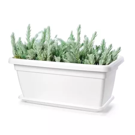 Plato Jardinera Blanco 80 cm - Macetero Resistente y Compacto