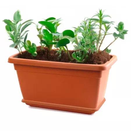Plato Jardinera 100 cm Marrón Resistente para Plantas