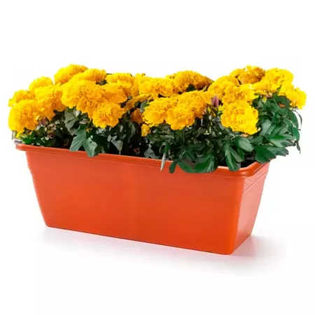 Jardinera Plástica Marrón 40 cm – Ideal Balcón y Jardín