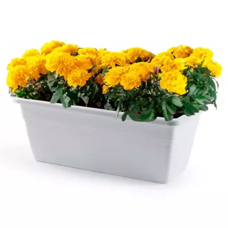 Jardinera Plástica Blanca 40 cm para Balcón y Jardín