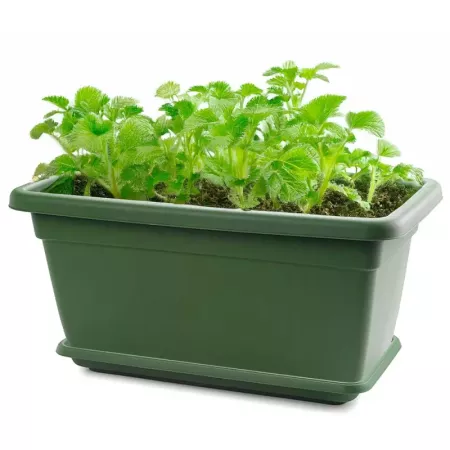 Plato Jardinera Verde 80 cm para Plantas y Flores