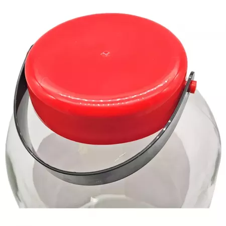 Tarro de Cristal 5L con Tapa y Asa – Ideal Encurtidos y Más Tarro de Cristal 5L con Tapa y Asa – Ideal Encurtidos y Más