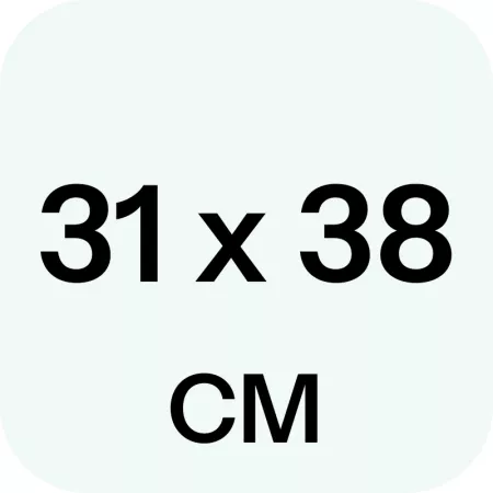 Pack 6 Bandejas Cartón con Blonda Dorada 31x38 cm