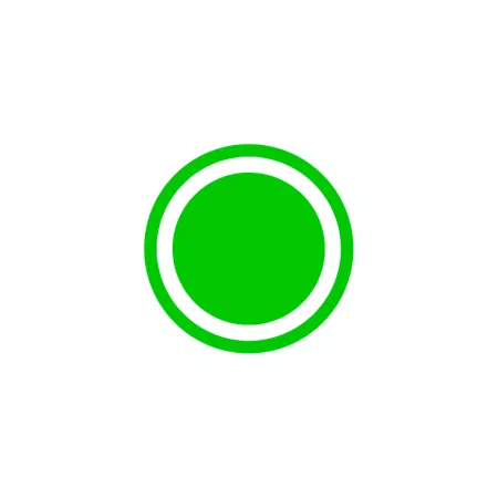 Tirantes verdes para jóvenes y adultos ideales para carnaval Halloween y celebraciones tamaño 35,5 x 12 x 1 cm