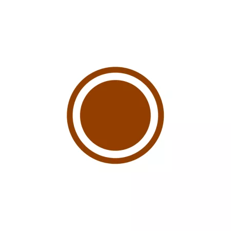 Cinta de Embalaje Marrón 4,8 cm x 200 m – Resistencia Total