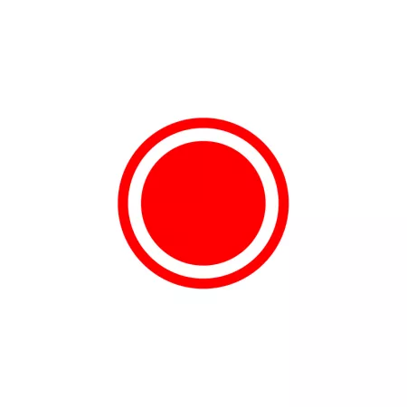 Caja Plegable Roja 32L: Organiza y Almacena Fácilmente