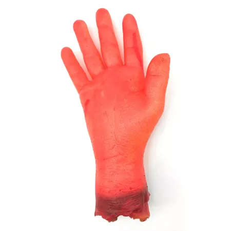 Mano Sangrienta Decorativa Halloween 21 cm Piel Mano Sangrienta Decorativa Halloween 21 cm Piel