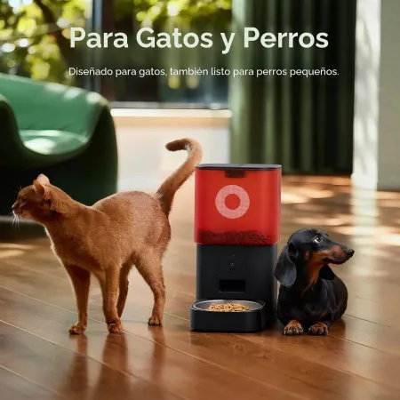 Comedero Automático 6L con Cámara WiFi para Gatos y Perros Blanco