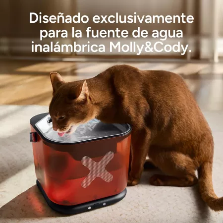 Pack 8 Filtros y 8 Esponjas para Fuente Molly&Cody de 3 L