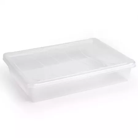 Bandeja Plástica Transparente con Tapa, Segura y Versátil Bandeja Plástica Transparente con Tapa, Segura y Versátil