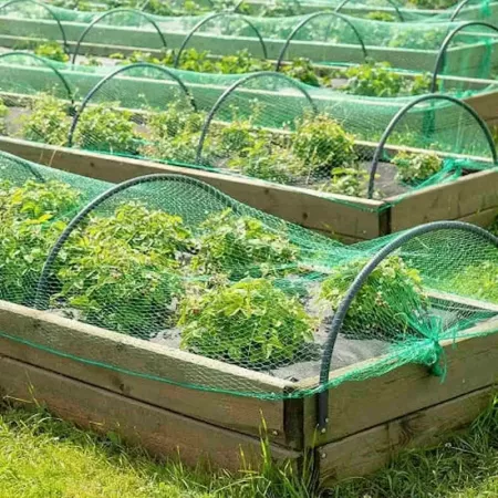 Malla Antipájaros Verde 5x6m | Resistente y Fácil Instalar Malla Antipájaros Verde 5x6m | Resistente y Fácil Instalar