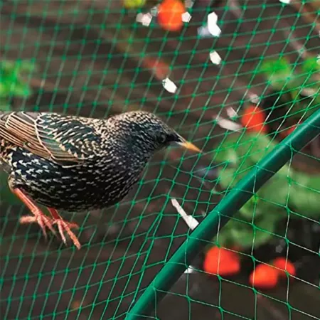 Malla Antipájaros Verde 5x6m | Resistente y Fácil Instalar Malla Antipájaros Verde 5x6m | Resistente y Fácil Instalar