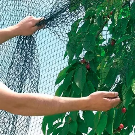 Malla Antipájaros Verde 5x6m | Resistente y Fácil Instalar Malla Antipájaros Verde 5x6m | Resistente y Fácil Instalar