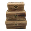 Conjunto 3 cajas de madera, forma de baúl, 9 x 19 x 15,5 cm, juego cajas  rectangulares decorativas, cierre metálico frontal, alm