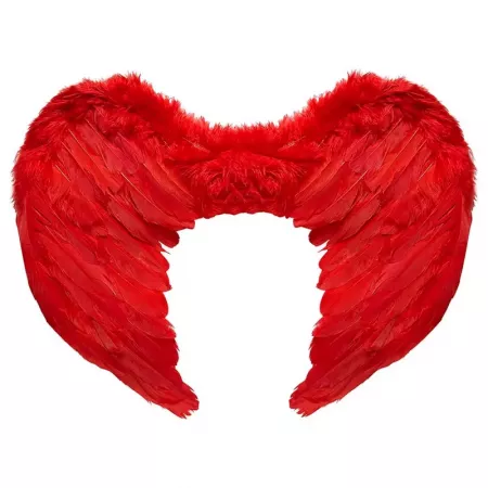Alas Rojas con Plumas y Tirantes Elásticos 42x33 cm Ideal Disfraz Alas Rojas con Plumas y Tirantes Elásticos 42x33 cm Ideal Disfraz