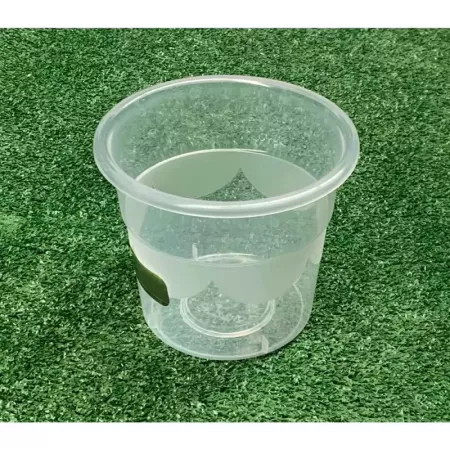 Maceta transparente redonda 17,5x13,5 cm resistente Maceta transparente redonda 17,5x13,5 cm resistente