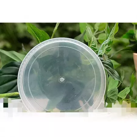 Plato plástico transparente para maceta Ø16 cm resistente Plato plástico transparente para maceta Ø16 cm resistente