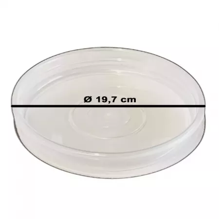 Plato para maceta transparente 19,7 cm resistente y práctico Plato para maceta transparente 19,7 cm resistente y práctico