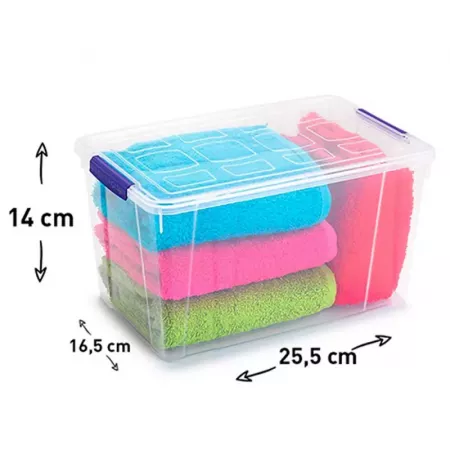 Caja Organizadora Transparente 4L con Tapa – Compacta y Práctica Caja Organizadora Transparente 4L con Tapa – Compacta y Práctica