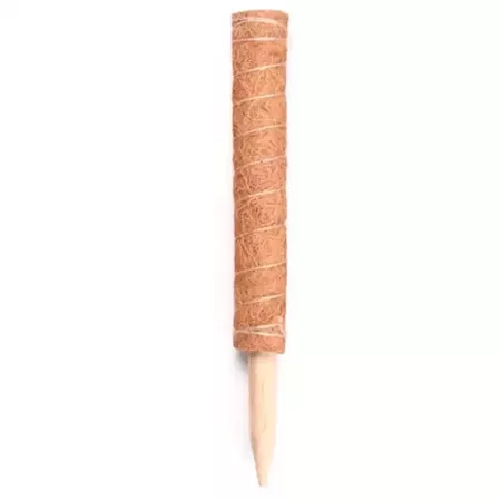 Tutor de Madera con Fibras de Coco 45,5 cm - Soporte Natural Tutor de Madera con Fibras de Coco 45,5 cm - Soporte Natural