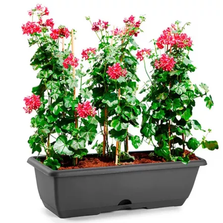 Jardinera Rectangular 12L Gris Antracita Resistente España Jardinera Rectangular 12L Gris Antracita Resistente España