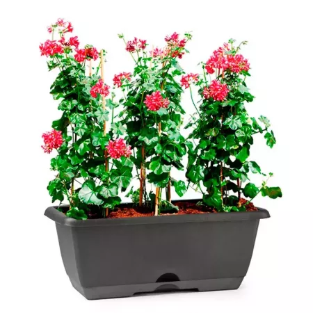 Jardinera Gris Antracita 8L con Plato Integrado - España Jardinera Gris Antracita 8L con Plato Integrado - España