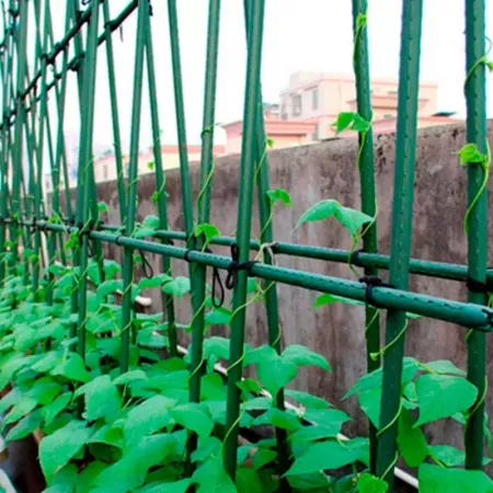 Tutores Verdes 12 uds 0,8x180 cm Resistentes para Tomates Tutores Verdes 12 uds 0,8x180 cm Resistentes para Tomates