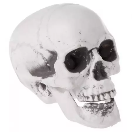 Calavera Decorativa Halloween Realista - Plástico Resistente 15x12x16 cm Calavera Decorativa Halloween Realista - Plástico Resistente 15x12x16 cm