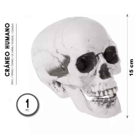 Calavera Decorativa Halloween Realista - Plástico Resistente 15x12x16 cm Calavera Decorativa Halloween Realista - Plástico Resistente 15x12x16 cm