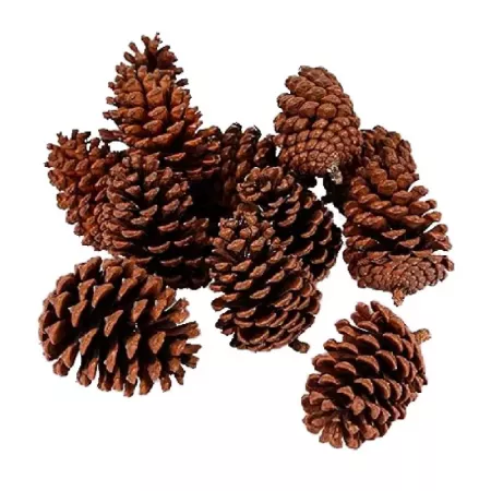 Pack 4 Redes Piñas Navideñas Naturales 200g Surtidas