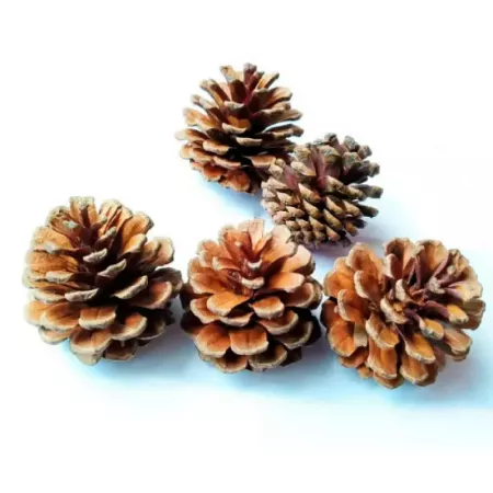 Pack 4 Redes Piñas Navideñas Naturales 200g Surtidas