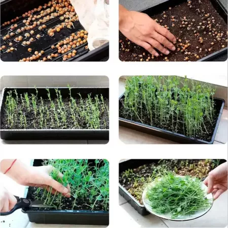 Pack 5 Bandejas Cultivo 34,5x23,3 cm Plástico Negro Durable Pack 5 Bandejas Cultivo 34,5x23,3 cm Plástico Negro Durable