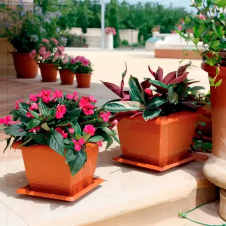 Maceta Cuadrada Plástico UV 24,5x30,5 cm, Moderna y Resistente Maceta Cuadrada Plástico UV 24,5x30,5 cm, Moderna y Resistente
