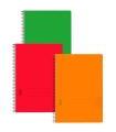 Tradineur - Pack de 3 libretas lisas A4, tapas de polipropileno y hojas en blanco, encuadernación de espiral, 80 hojas, tamaño folio, colores aleatorios