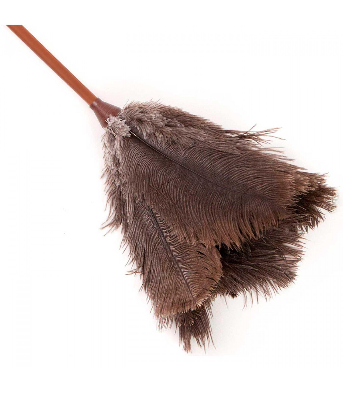 Tradineur - Plumero de plumas de avestruz 70 cm, mango de plástico con  agujero, plumero atrapapolvo, plumas suaves, reutilizable